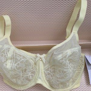 New Chantelle Alto Underwire Leaver lace Bra NWT 34DDDD
